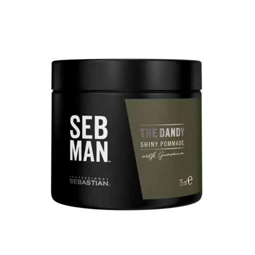 Sebastian Professional SEB MAN The Dandy Pomade 75ml