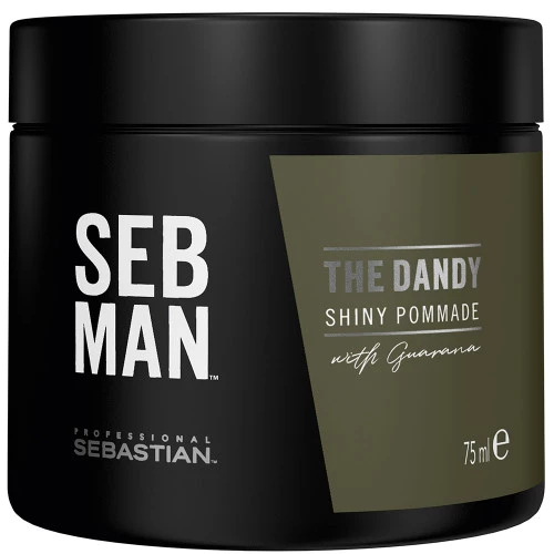 Sebastian Professional SEB MAN The Dandy Pomade 75ml