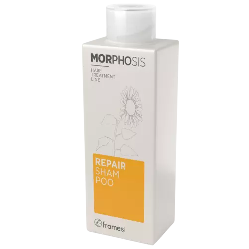 Framesi Morphosis Repair Shampoo 250ml