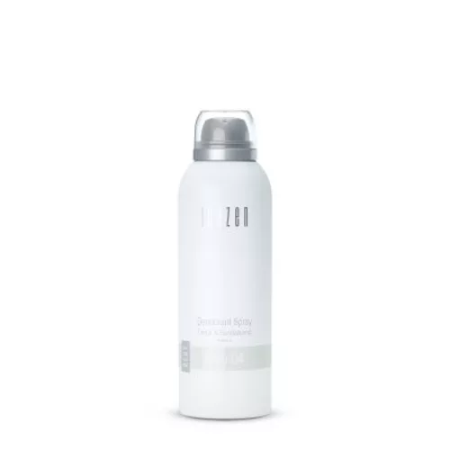 Janzen Deodorant Spray 150ml Grey 04