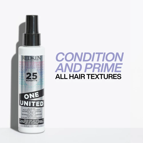 Redken One United All-in-One Treatment 150ml