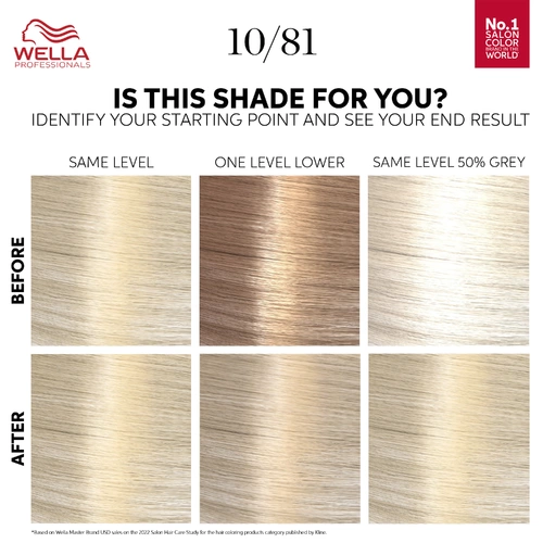 Wella Professionals Color Touch Kit - Rich Naturals 10/81 Platinum Blonde