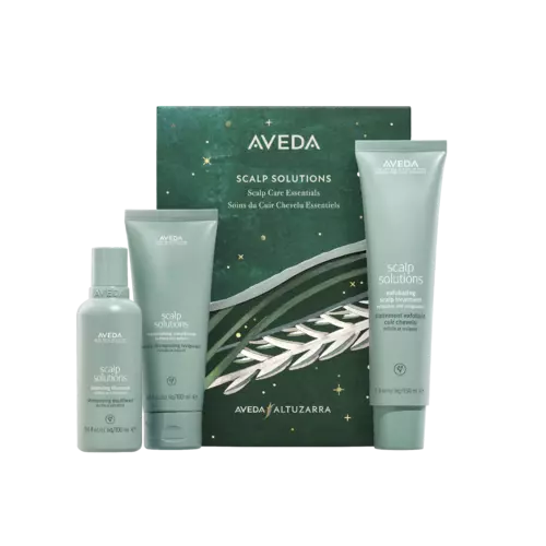 AVEDA Scalp Solutions Exfoliating & Balancing Essentials Holiday Set