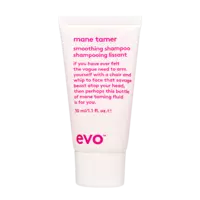 EVO Mane Tamer Shampoo