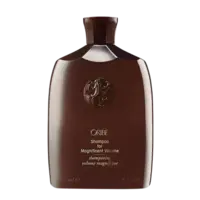  Magnificent Volume Shampoo