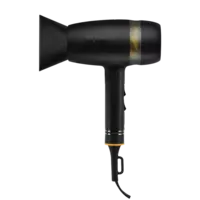  Professional Quietair Power Dryer