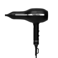  Professional Salon 2000W Ionic Dryer