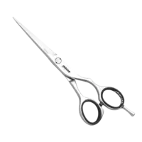 Jaguar Silver Line CJ4 Plus