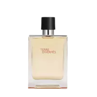 Hermès Terre d'Hermes Eau De Toilette