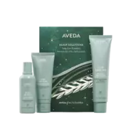 AVEDA Scalp Solutions Exfoliating & Balancing Essentials Holiday Set