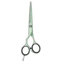 Jaguar Pastell Plus Offset Left 5,75"