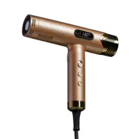  La Divine Hair Dryer