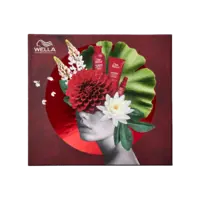  Ultimate Repair Giftset