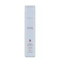 L'Anza Healing ColorCare Silver Brightening Shampoo