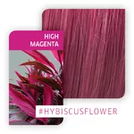 Wella Professionals Color Fresh Create 60ml High Magenta