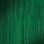 L'Oréal Professionnel Colorful Hair 90ml Peppermint Green