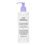 Evo Fabuloso Platinum Blonde toning Shampoo 250ml