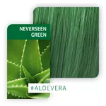 Wella Professionals Color Fresh Create 60ml Never Seen Green