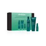 AVEDA  Botanical Repair™ Hair Repair Essentials Set