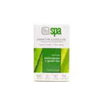 BCL SPA 4 Step System Packet Boxes Lemongrass + Green Tea