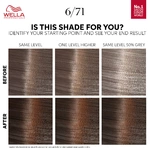 Wella Professionals Color Touch Kit - Deep Browns 6/71 Medium Maple Brown