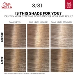 Wella Professionals Color Touch Kit - Rich Naturals 8/81 Pearl Blonde