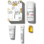 Olaplex Smooth Your Style Holiday Kit