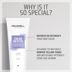 Goldwell  Dualsenses Color Revive Shampoo 250ml