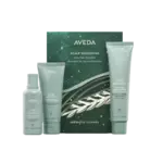 AVEDA  Scalp Solutions Exfoliating & Balancing Essentials Holiday Set