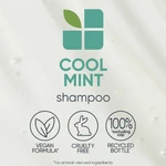 Biolage ScalpSync Cool Mint Shampoo 250ml