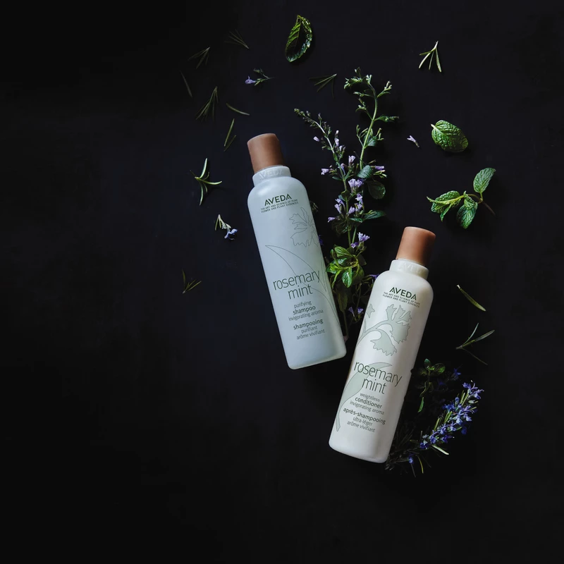 AVEDA  Rosemary Mint Purifying Shampoo