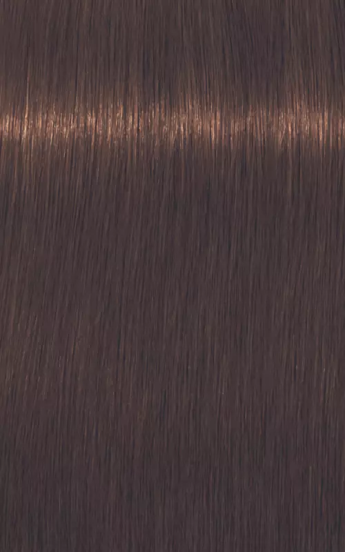 Schwarzkopf Professional  Igora Royal Absolutes 60ml