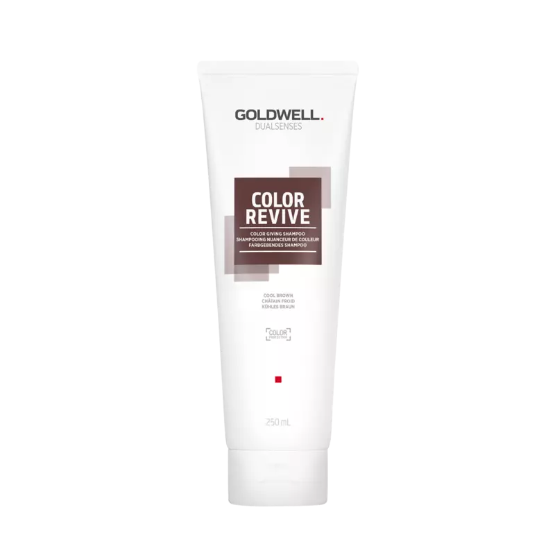 Goldwell  Dualsenses Color Revive Shampoo 250ml