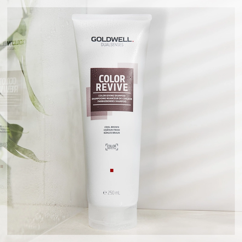 Goldwell  Dualsenses Color Revive Shampoo 250ml