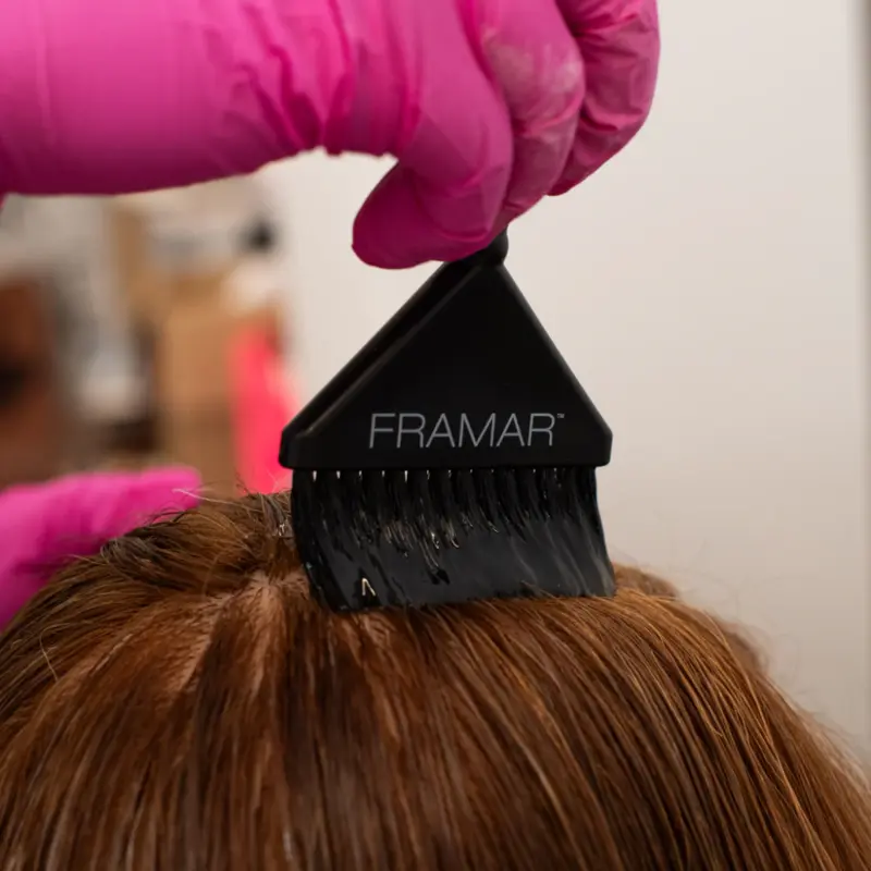 Framar  Root Repair Color Brush Set