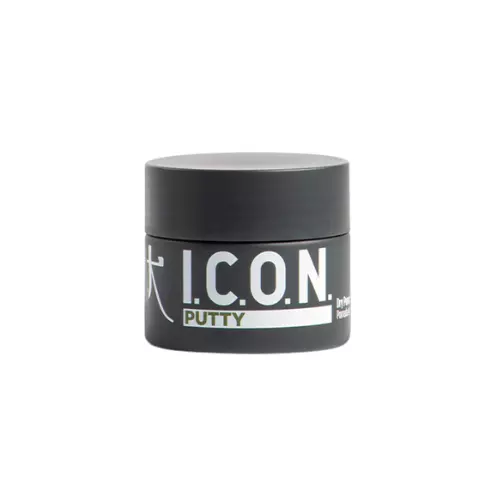 I.C.O.N.  Putty