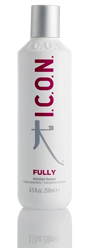 I.C.O.N.  Fully Shampoo